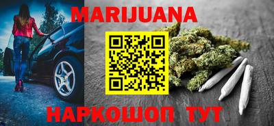 сатива Моздок