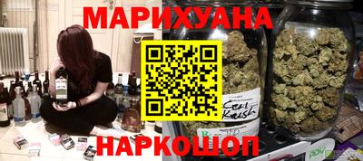 сатива Моздок