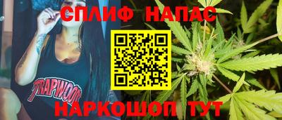 сатива Моздок