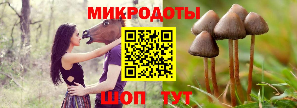 Галлюциногенные грибы ЛСД Заволжье