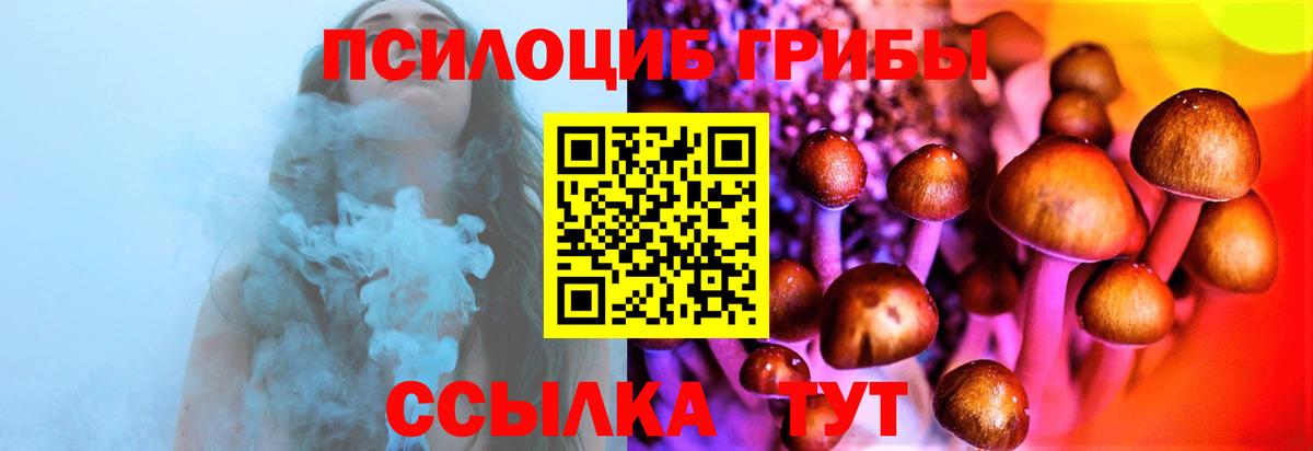 Заволжье  Псилоцибиновые грибы GOLDEN TEACHER  Вход с VPN 